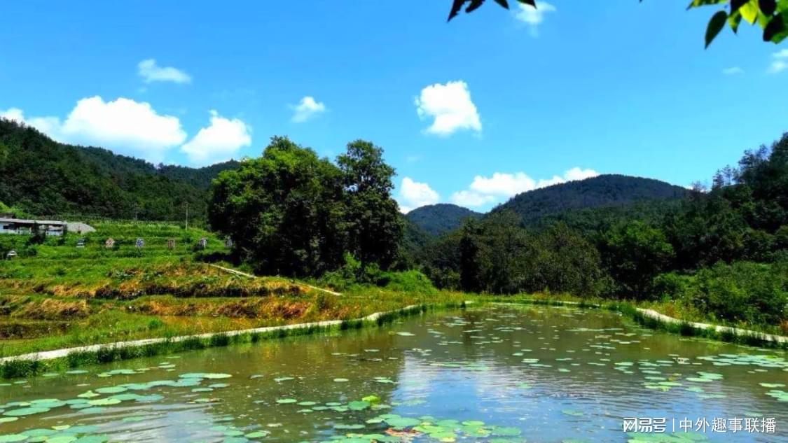 抖音24小时点赞服务平台