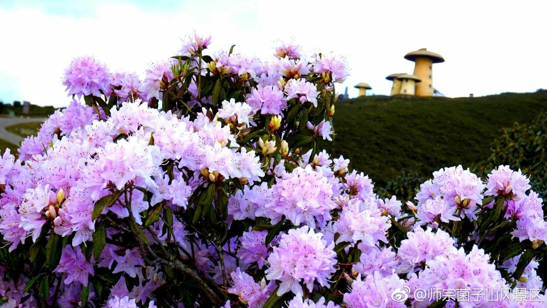 刚刚头条推广高端化定制您的品牌店铺:24小时不间断曝光的秘密华为影像年度影展登陆上海