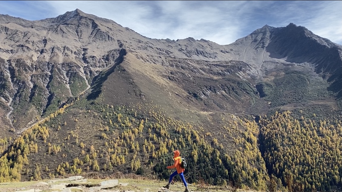 抖音业务自助下单全网最低价：独家特惠供应商平台优选福利